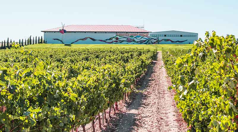 Pinot Noir Region, Spain
