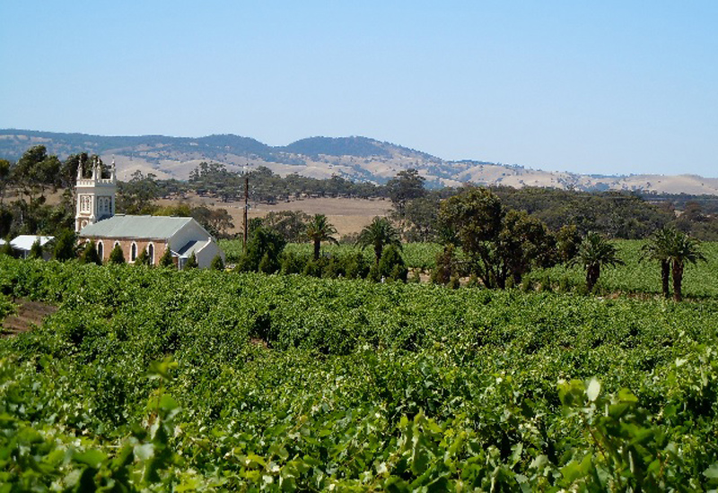 Torbreck Vineyards And Winemaking