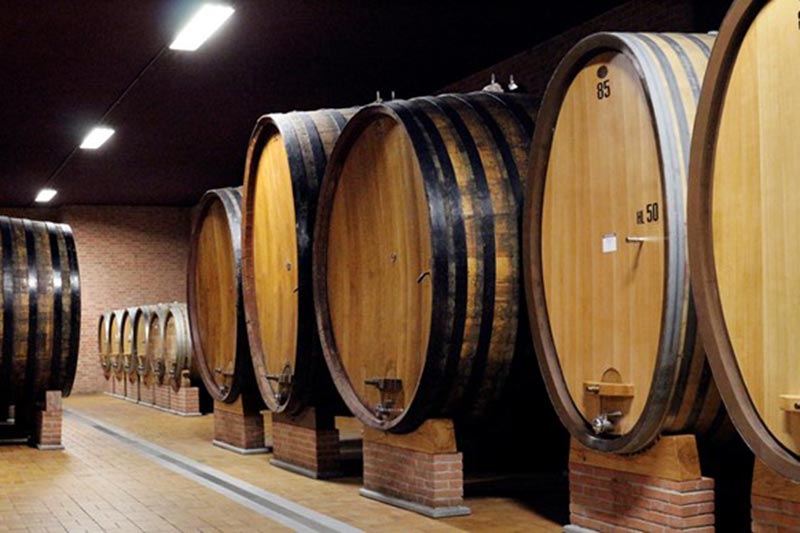 Giacomo Conterno Cellar