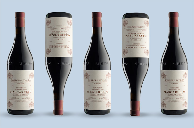 Barbera Wine
