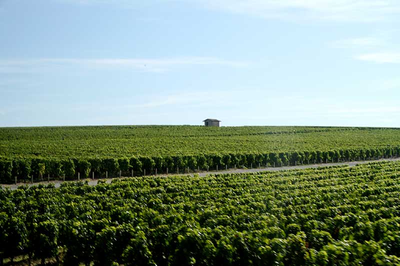 Chateau Cos d’Estournel