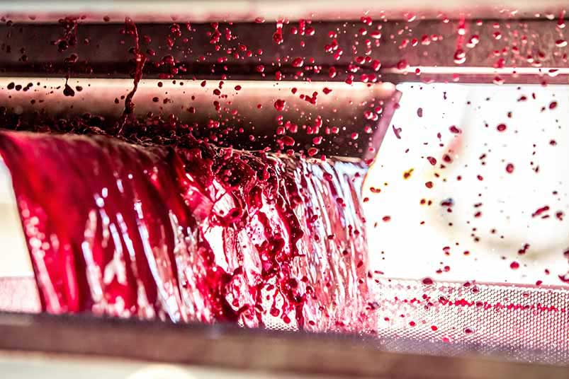 Winemaking at Chateau Cos d’Estournel