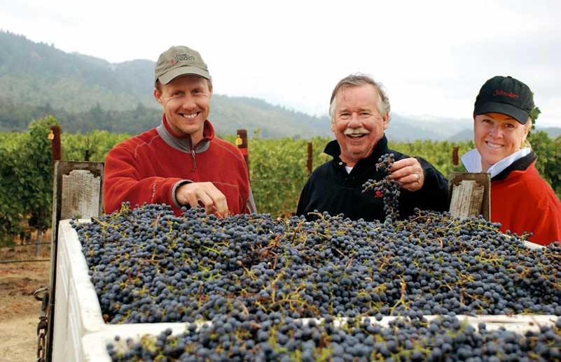 Schrader Cellars Winemaking