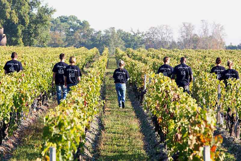 Smith Haut Lafitte terroir