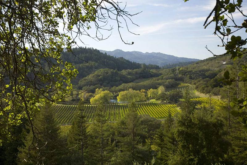 Joseph Phelps Winery