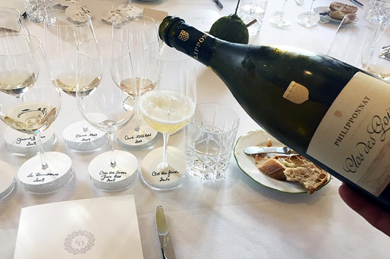 Should You Invest in Philipponnat Wine