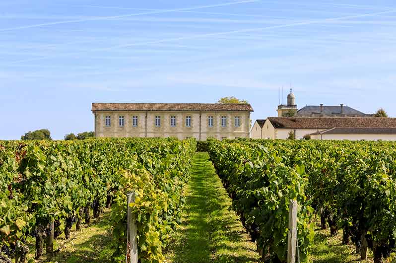 The Gruaud Larose Vineyard