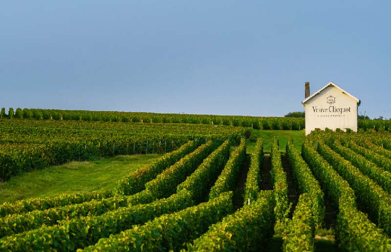 Intro To Veuve Clicquot