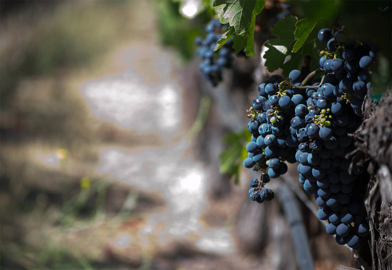 Grape Leap