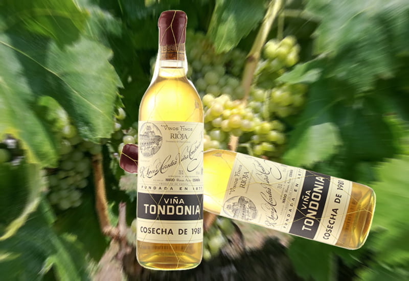 1981 R. Lopez de Heredia Vina Tondonia Gran Reserva Blanco, Rioja DOCa, Spain