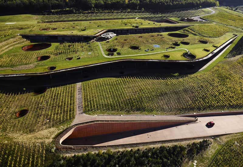 The Marchesi Antinori Vineyards And Wines