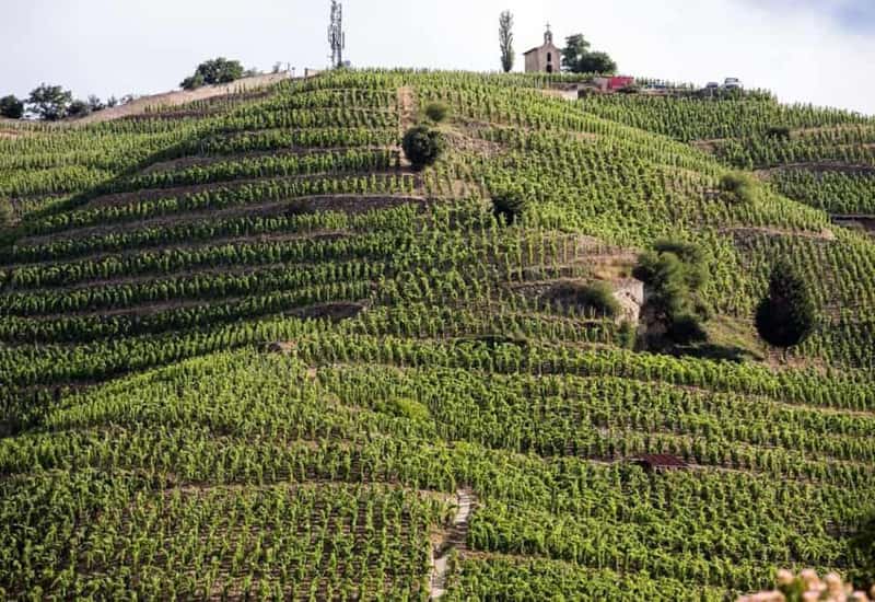 Where is Marsanne Grown?