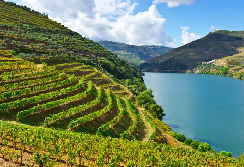 A Brief History of Vinho Verde