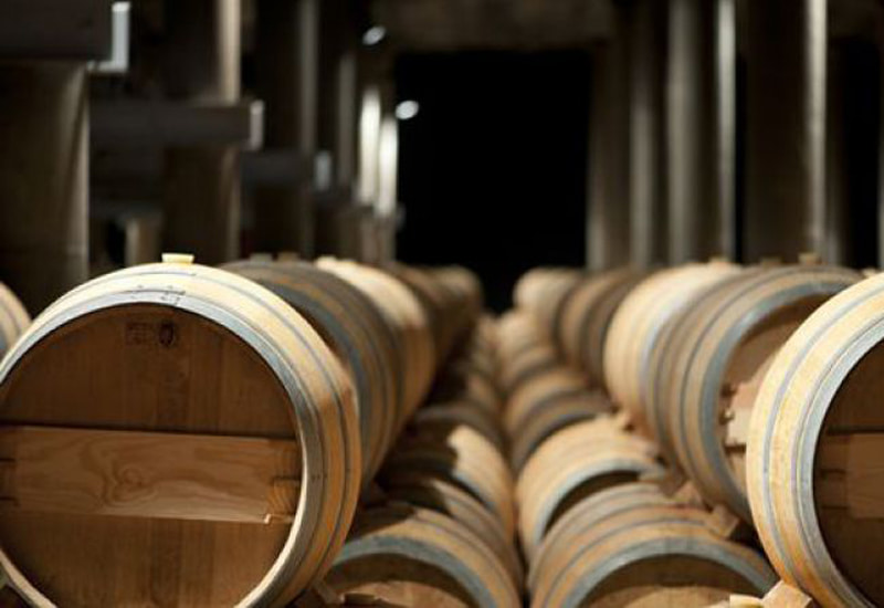 From Vine to Wine: How Are Pingus Wines Made?