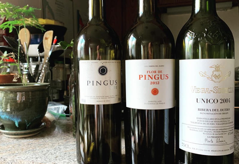 The Exotic Wines Of Dominio de Pingus