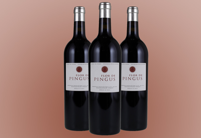 2004 Dominio de Pingus 'Flor de Pingus' Ribera del Duero, Spain