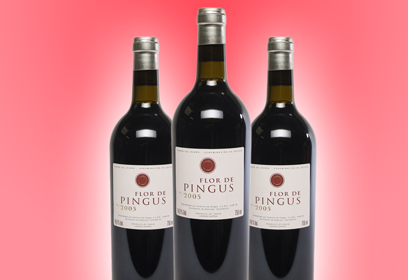 2005 Dominio de Pingus 'Flor de Pingus' Ribera del Duero, Spain