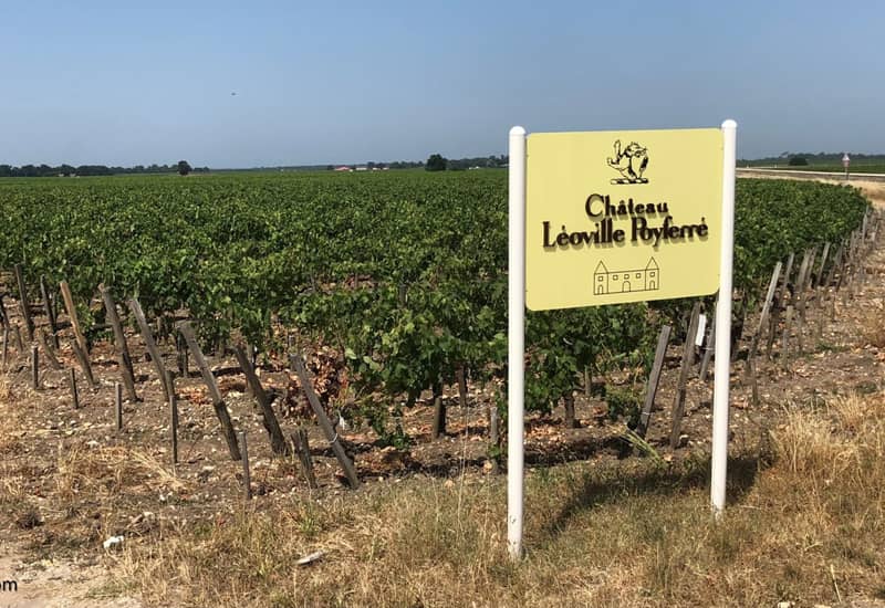 Leoville Poyferre Vineyards and Viticulture