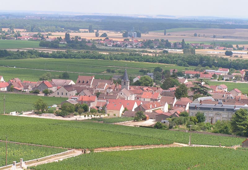 The Iconic Vosne Romanee Vineyards