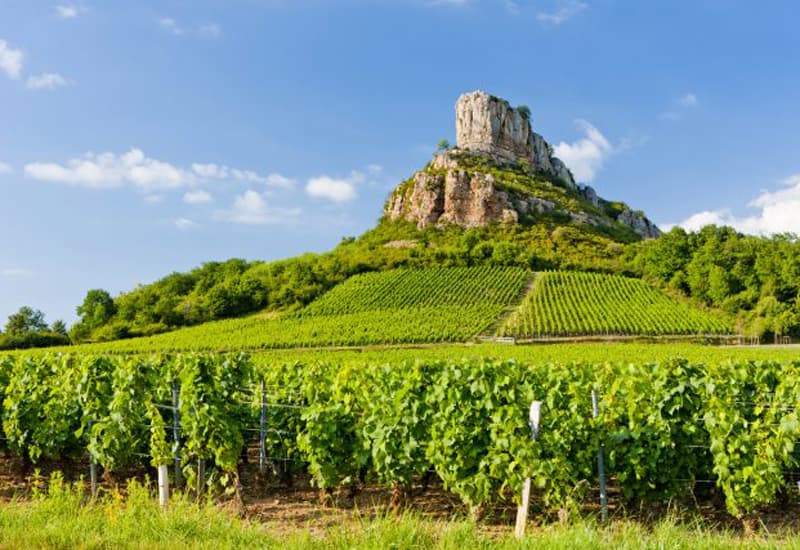 Vosne Romanee Premier Cru Vineyards