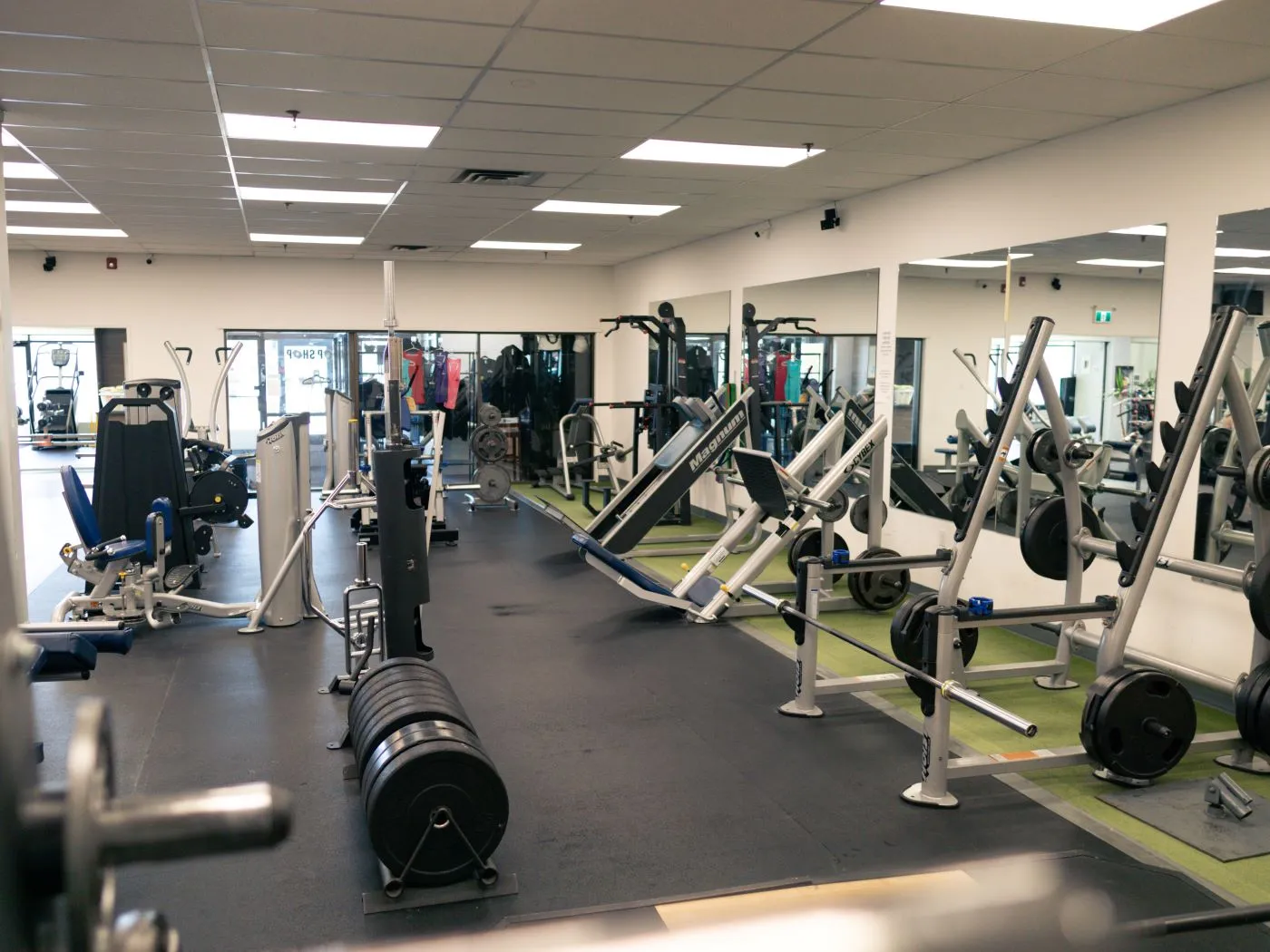 Local gym equipment shops best sale