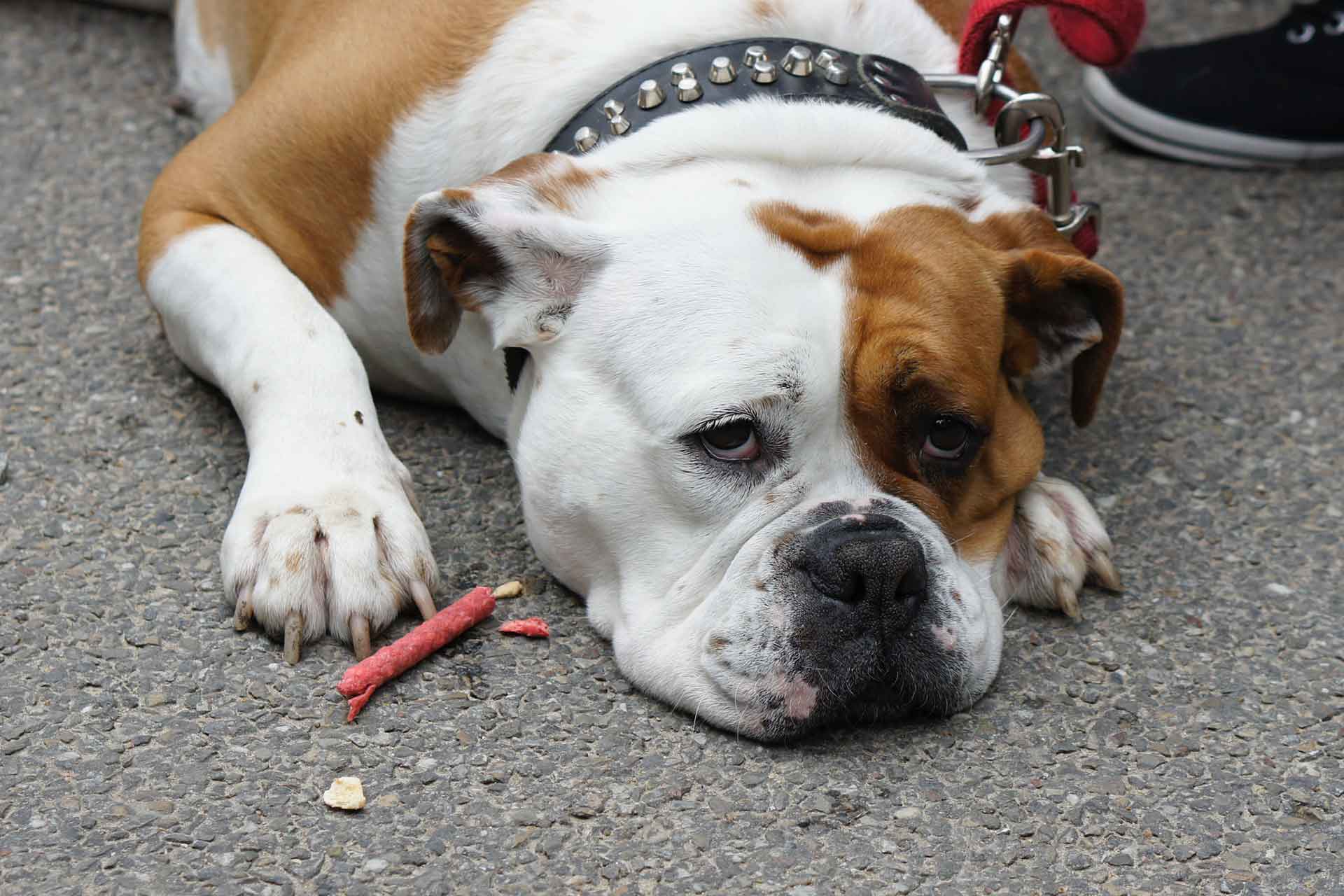 Esports Accounting Requirements Pro Esports Tax & Accounts