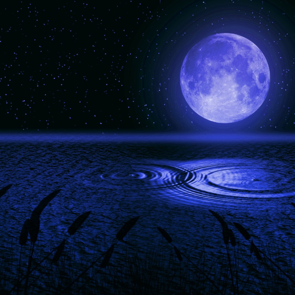 Wellbeing Wave Stockton Heath Methodist Hall, Walton Road