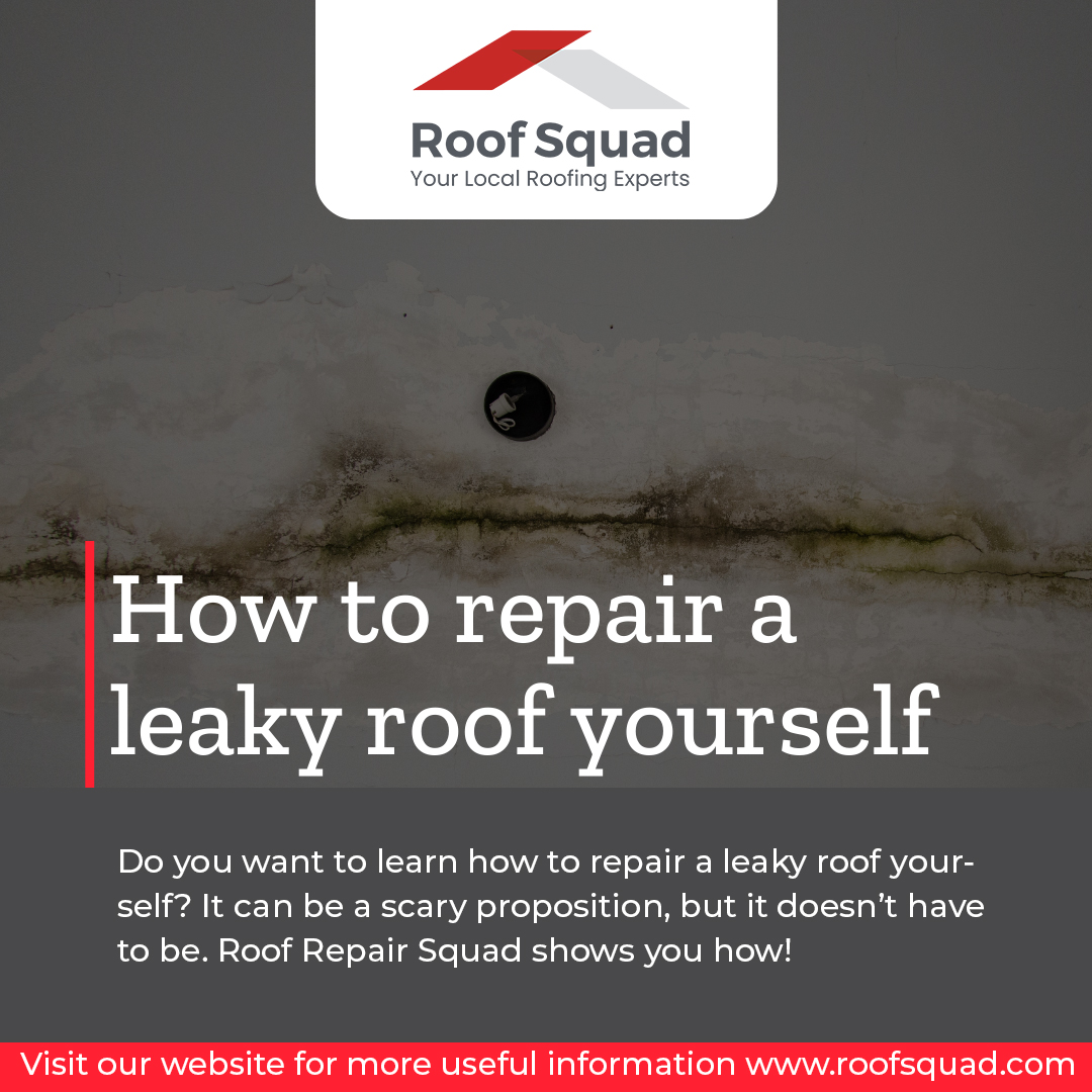How to Repair a Leaky Roof Yourself Roof Squad