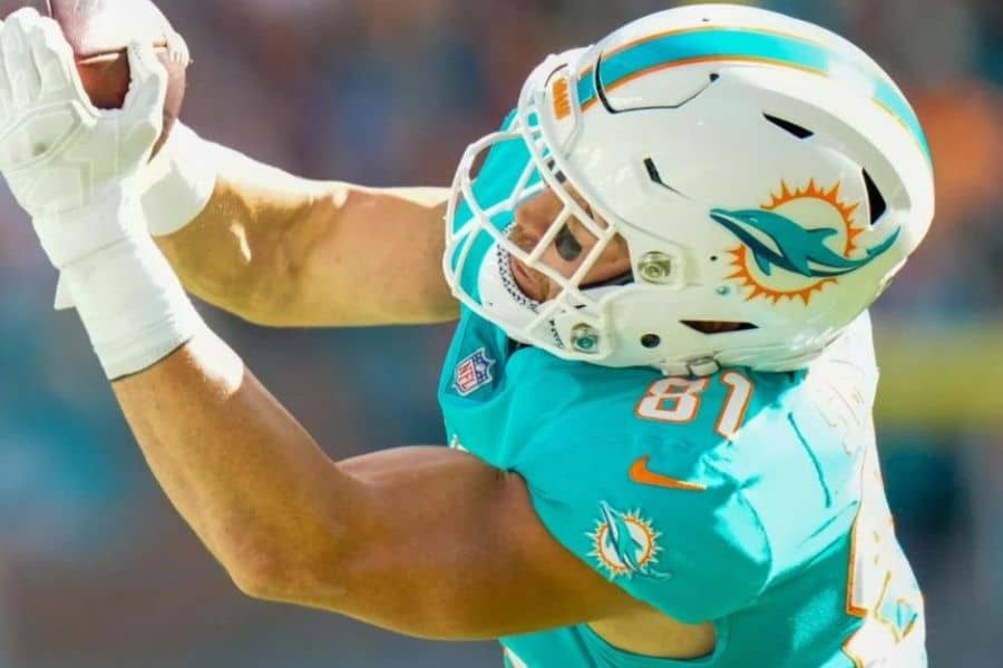 Nfl Miami Top 9 Most Iconic NFL Team Logos