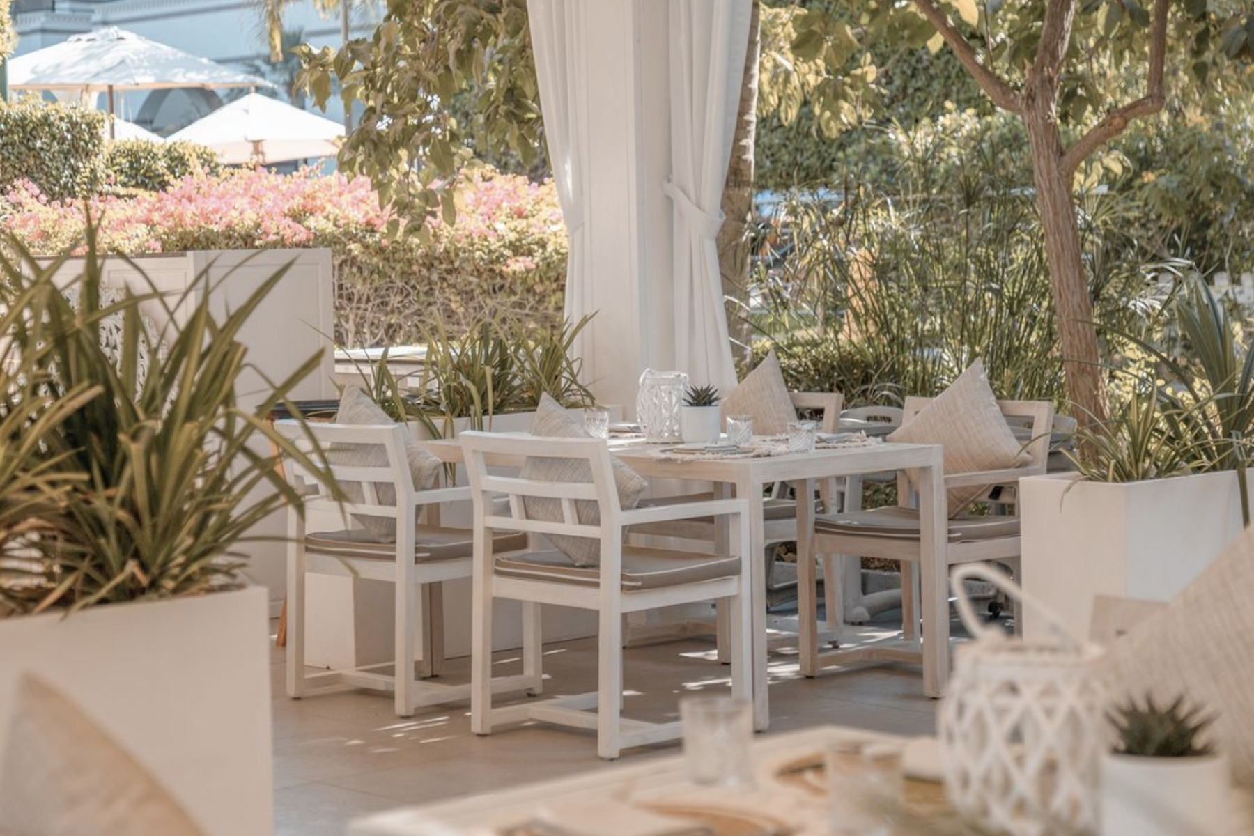 Now on Privilee, Zenzi Beach - Privilee Insider