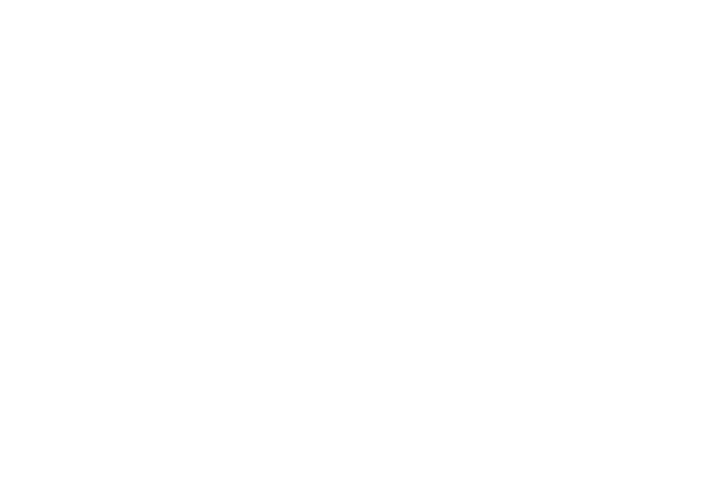 Intersport