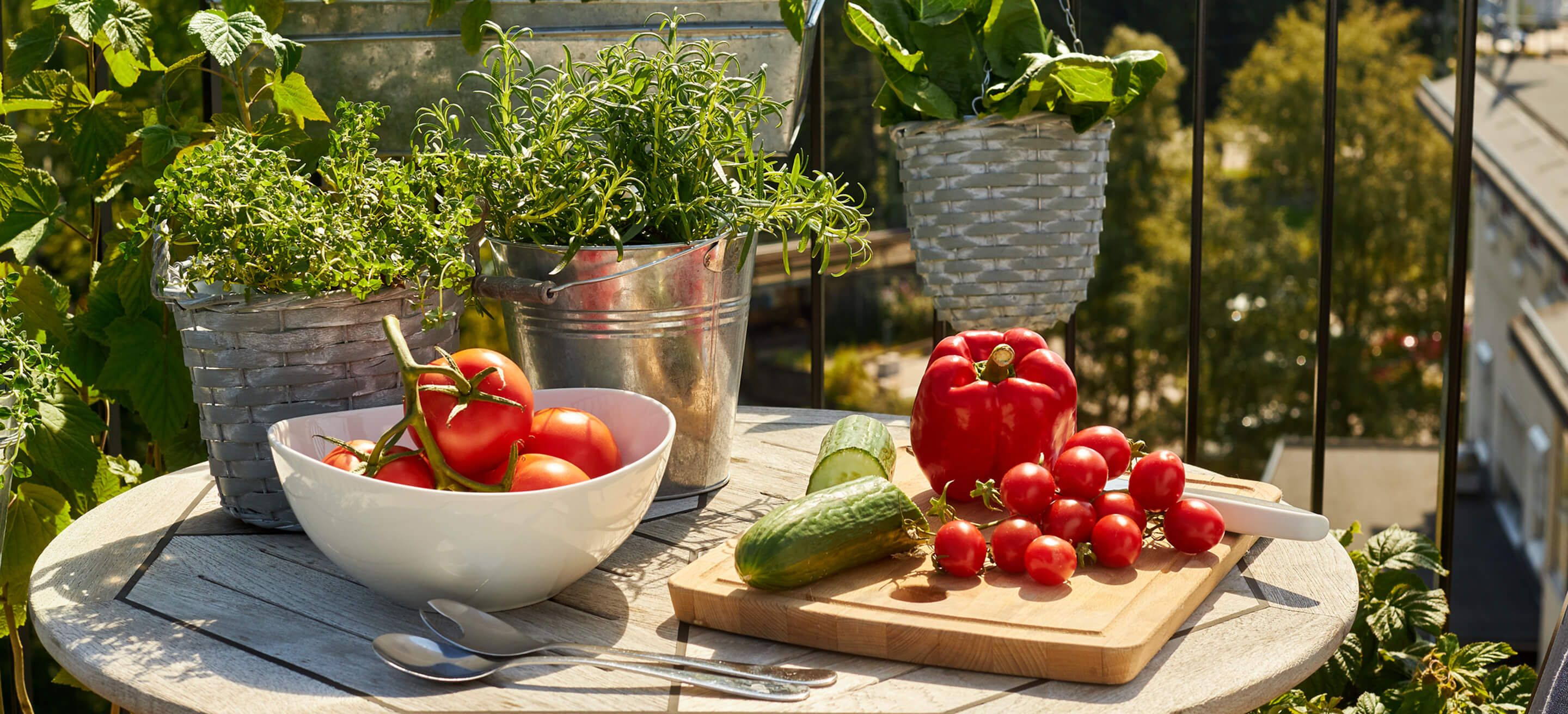 Live shopping for plants: A new venture for Blomsterlandet