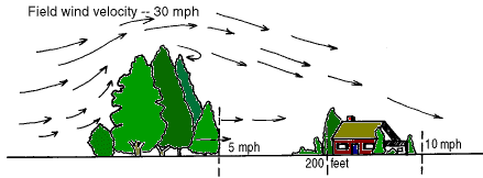 Visualizing tree coverage
