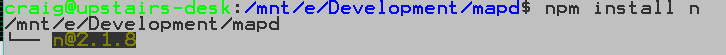 Install n using npm