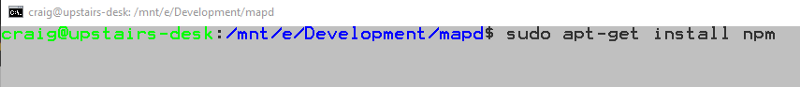 npm install