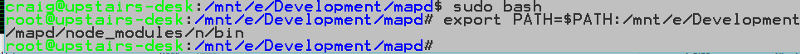Bash sudo
