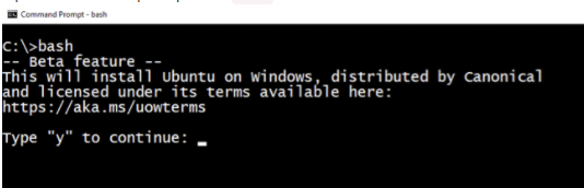 Run bash at the command prompt