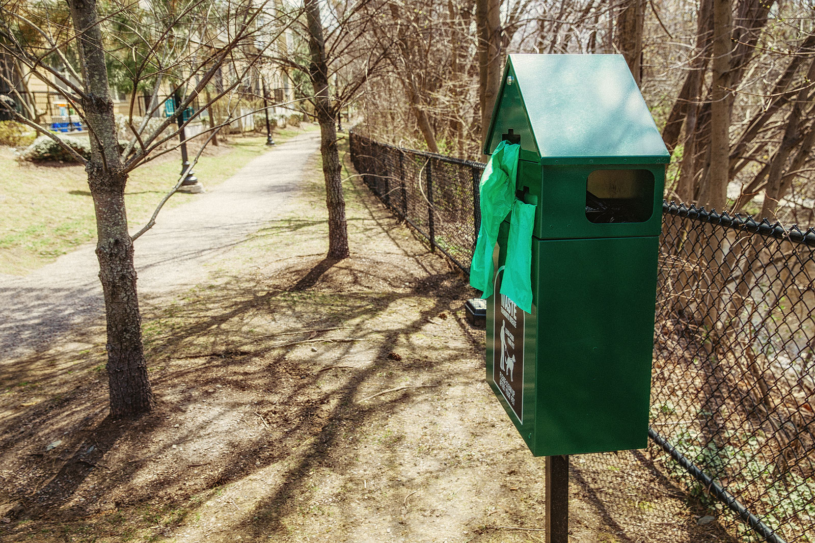 Why Dog Poop Should Be Removed from Your Yard