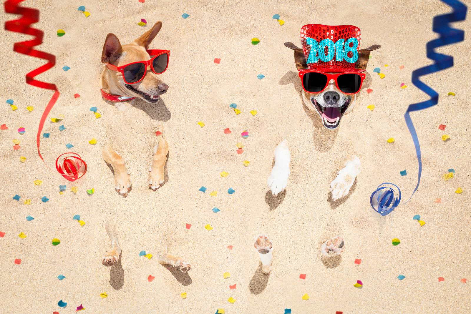 Dog Friendly New Year’s Eve Celebrations in Dallas