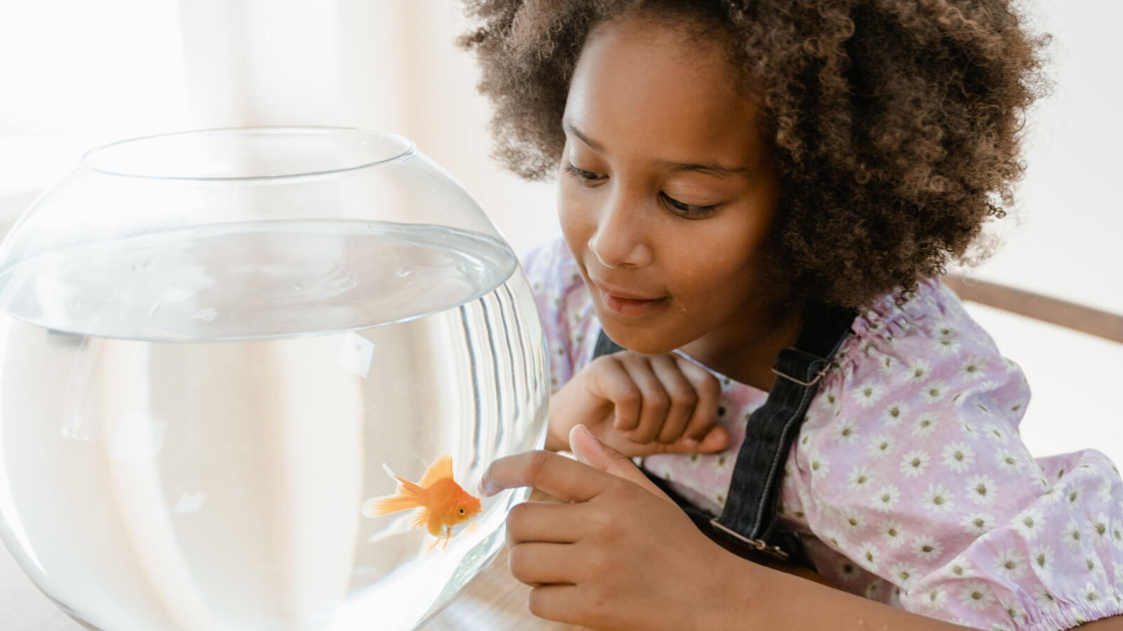 Good pets for kids & toddlers Teaching kids responsibility Sawyer Blog