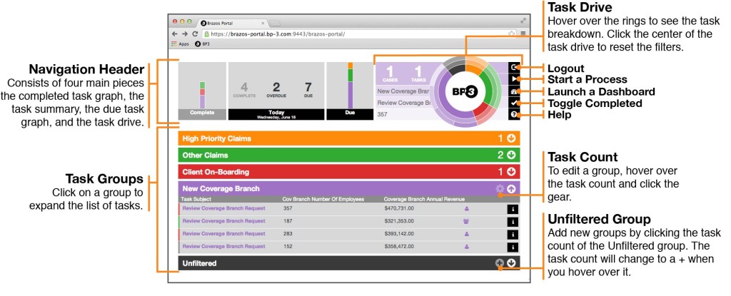 brazosPortalOverview
