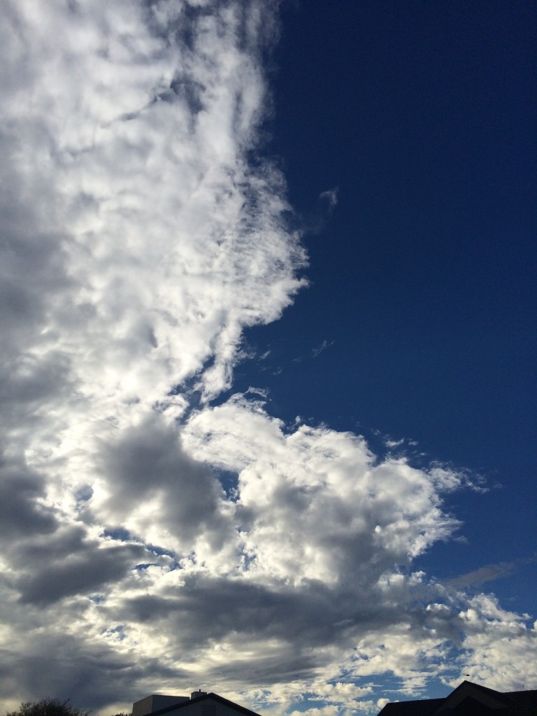 The weather was amazing
