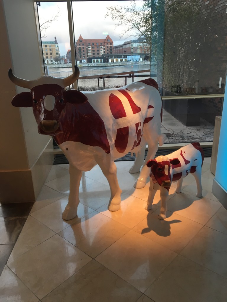 As a Texan, felt right at home with the Art Cows