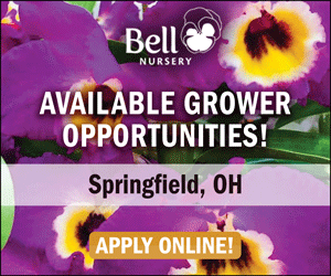 Bell Nursery