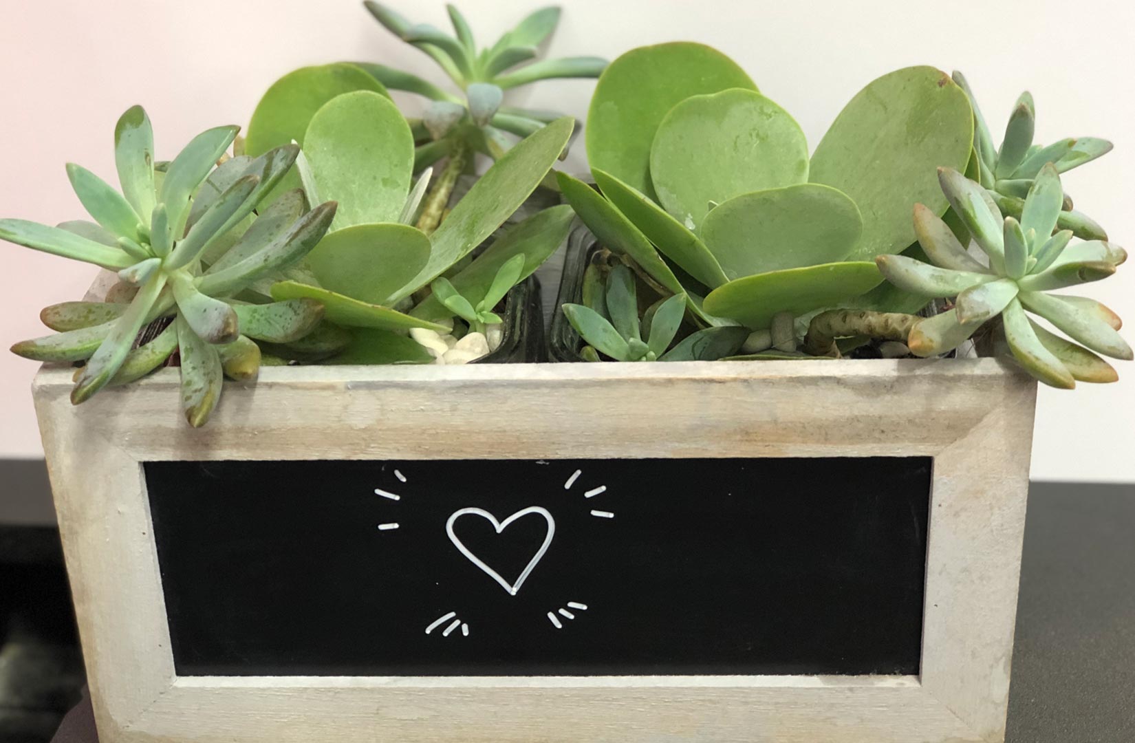 Noosa Village News - Planter Box