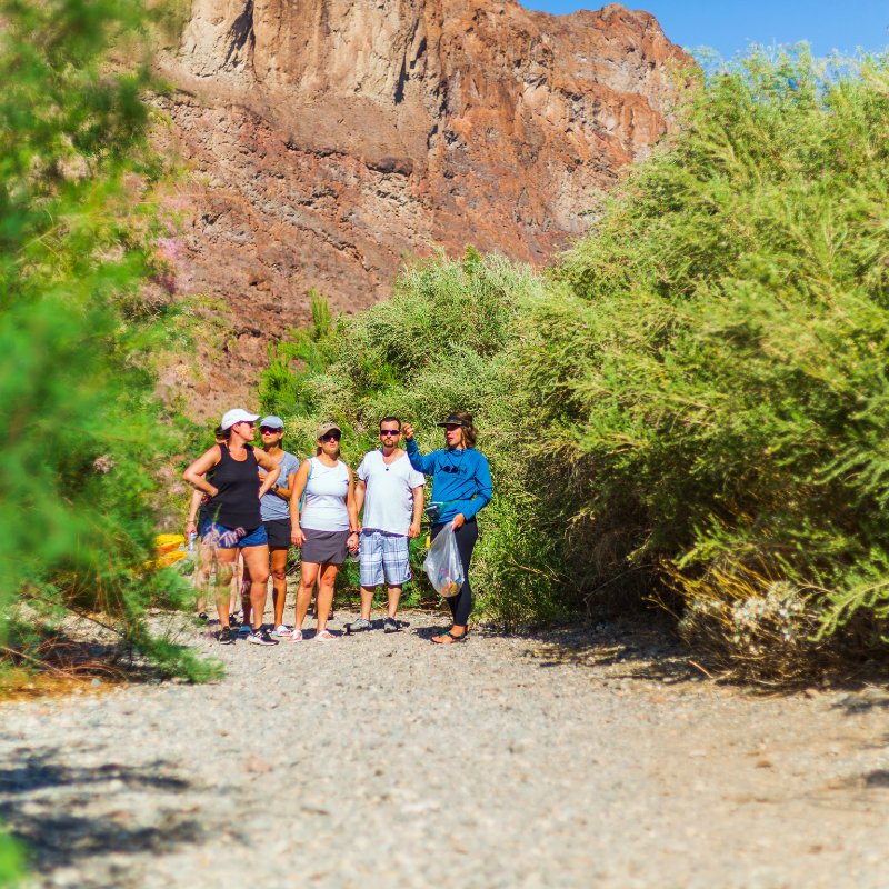 group of people exploring Willow Beach