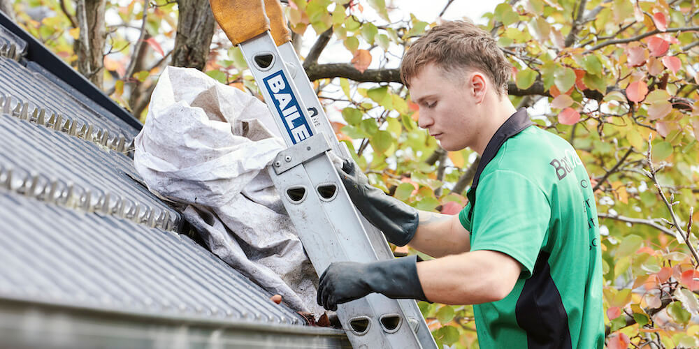 Bax Clean | Expert Cleaning Services for Homes & Businesses
