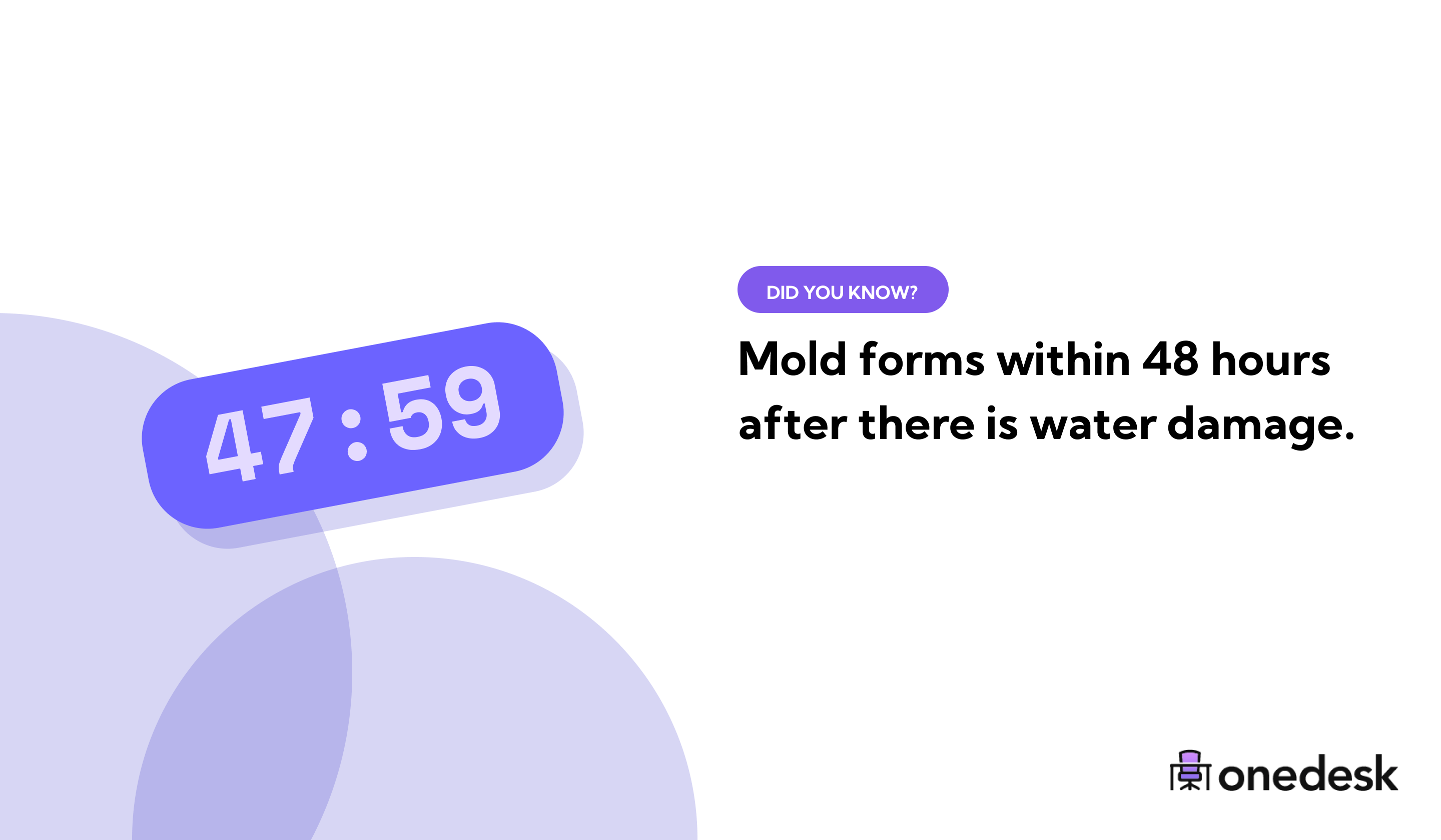 47 Mold Statistics Black Mold Deaths Per Year