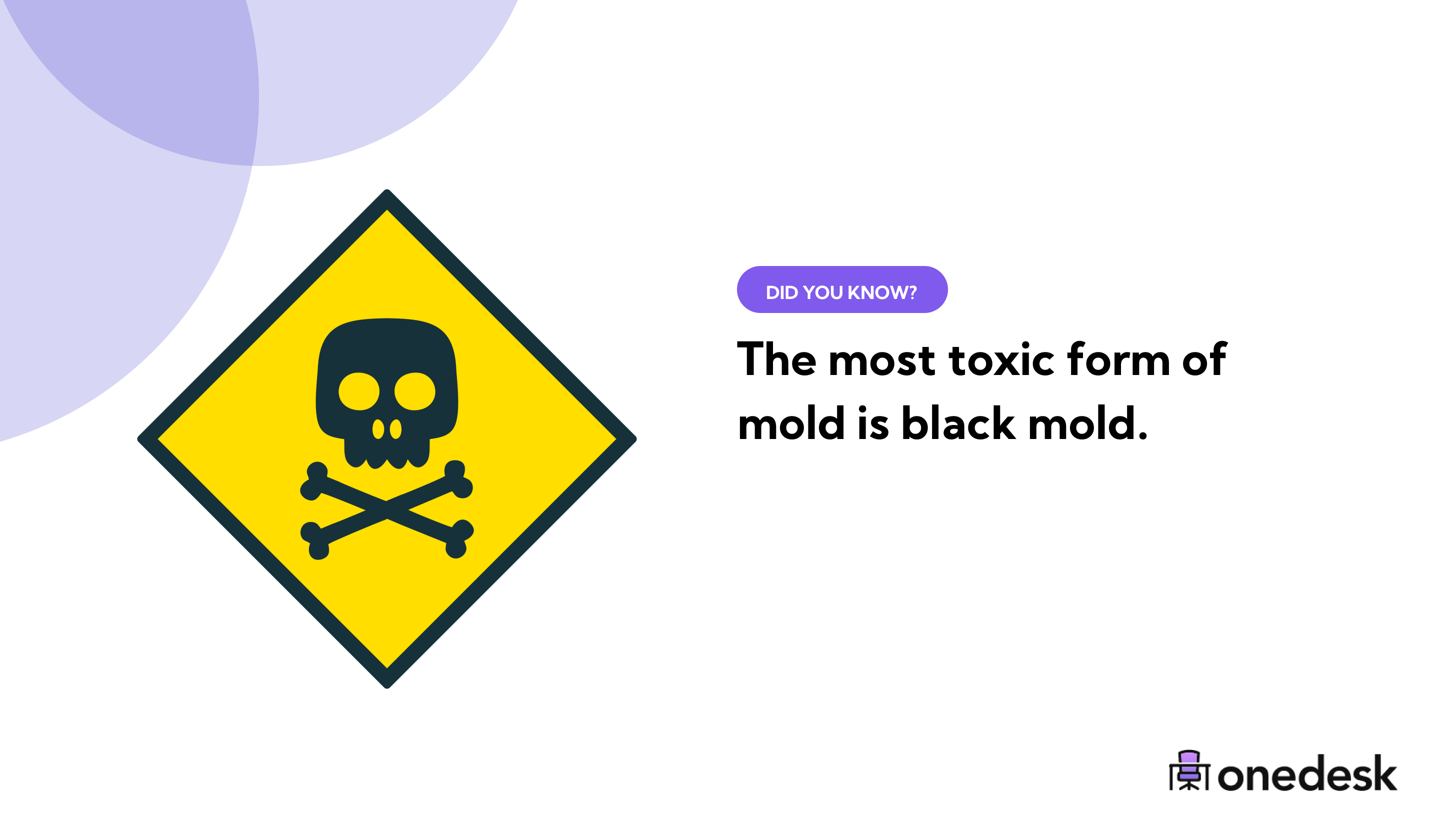 47 Mold Statistics Black Mold Deaths Per Year