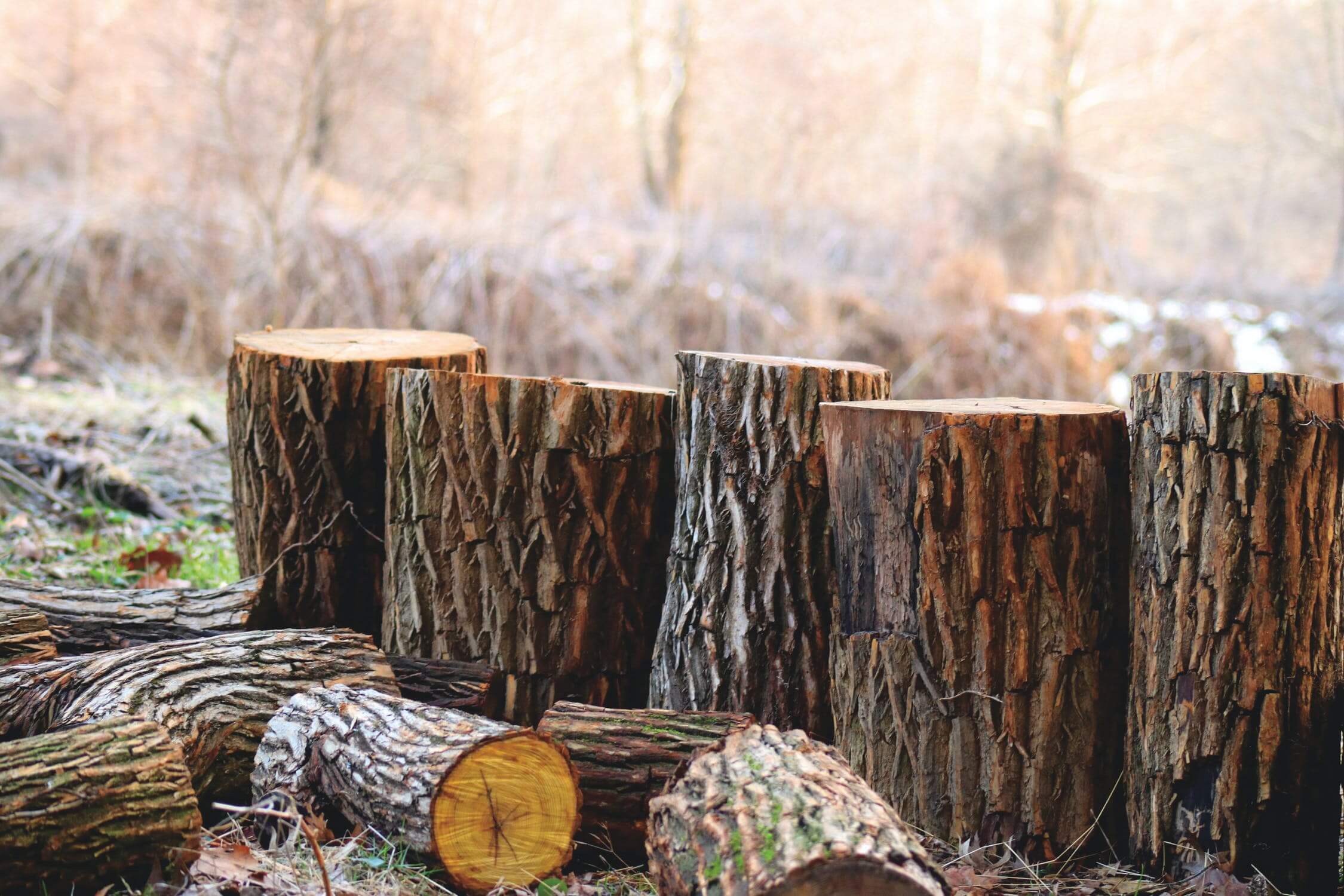 wooden logs